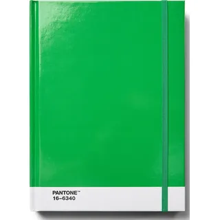 Pantone Gepunktetes Notizbuch L grün