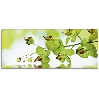 Glasbild ARTLAND "Schöne Orchidee mit grünem Hintergrund", grün (farbe bild(er): grün), B:125cm H:50cm, Bilder, in verschiedenen Größen
