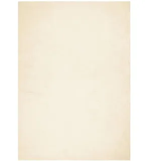 vidaXL Teppich HUARTE Kurzflor Weich und Waschbar Creme 200x280 cm