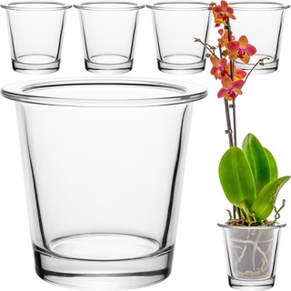 GIESSLE® 6 Stück Orchideentopf [ aus Glas ] Blumentopf Orchideenvase Orchideenglas Übertopf für Orchideen transparent