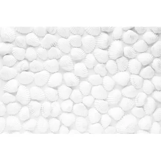 Magnetmatte für Heizkörperverkleidung, weiße Muscheln, 60x100cm