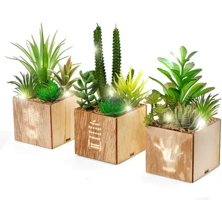 BEGONDIS Set von 3 künstlichen Sukkulenten mit Led-Leuchten in Holzkiste, künstliche Pflanzen Plastik -Topiary für Wohn-/Bürodekorationen, Tischdekoration, Valentinstag.