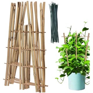 Youao Pflanzen Sie Bambusspalier,Quadratisches 6er-Pack Rankgitter aus natürlichem Bambus | Leiterspalier für Bambuspflanzen, Pflanzenstütze Monstera-Spalier, Gartenspalier für Zimmerpflanzen