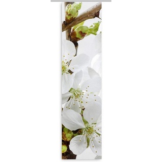 gardinen-for-life Schiebegardine Apfelblütentraum, Frühlingsmotiv mit Blüten - Flächenvorhang, Digitaldruck, Sulbimationsdruck - sehr haltbar!, waschbar 60 cm x 245 cm