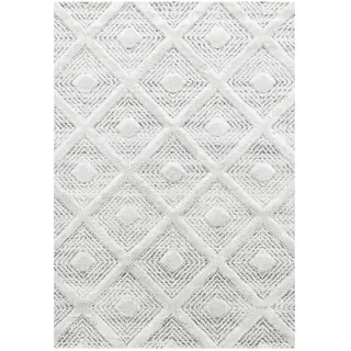 Ayyildiz Hochflorteppich Pisa 4707 Grau 160 cm x 230 cm