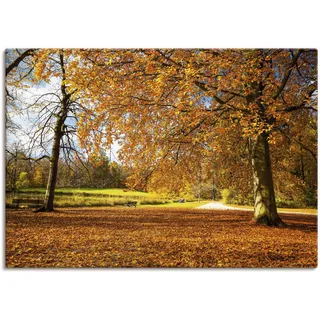 Wandbild ARTLAND "Herbst bei Schlosses Nymphenburg" Bilder Gr. B/H: 100 cm x 70 cm, Leinwandbild Wiesen & Bäume, 1 St., braun Kunstdrucke