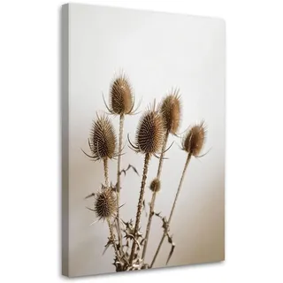 LEINWANDBILD Getrocknete Disteln Pflanzen in Beige 60x90cm