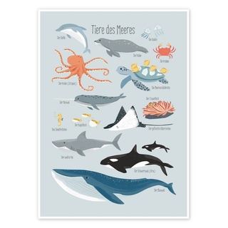 Posterlounge Poster Sandy Lohß, Tiere des Meeres, Badezimmer Maritim Illustration blau 50 cm x 70 cm