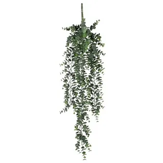 Kunstpflanze Eukalyptus  (Höhe: 78 cm, Grün, Kunststoff)