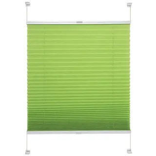 LIEDECO Klemmfix Plissee Young Colours 45 x 150 cm grün