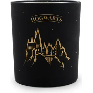 HARRY POTTER Hogwarts Black Duftkerze 135 g schwarz