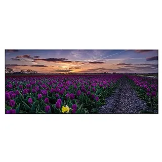 Homemania Bild Blumen Natur und Landschaften für Wohnzimmer, Schlafzimmer, mehrfarbig, 70 x 3 x 100 cm, -HM20KNV70 x 100 – 119, Polyester, Holz