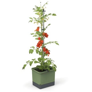 Gusta Garden Tom Tomato Draußen Topfpflanzer Freistehend Polypropylen (PP), Aluminium Grün