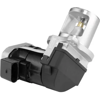BorgWarner (Wahler) Borgwarner AGR-Ventil elektrisch, mit Dichtung