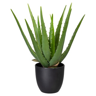 Gasper Kunstpflanze Aloe Vera VERALOE, Grün - schwarzer Kunststofftopf - H 33 cm