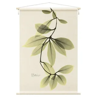 Bilderdepot24 Wandteppich modern Tropisch X-Ray - Porzellanblumenblätter grün, rechteckig, Höhe: 2.6 mm, großes Wandbild aus Natur-Baumwolle Wandbehang Stoffbild Tuch Wollseil grün 145 cm x 217 cm x 2.6 mm