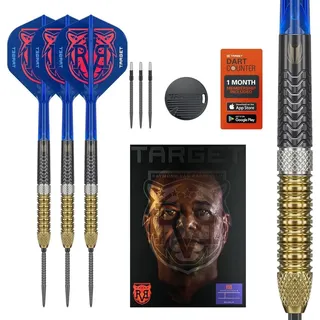 Target Raymond van Barneveld G6 23 g
