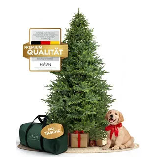 HAVN Künstlicher Weihnachtsbaum Livgrön, Tannenbaum in Nordmanntannen-Optik, 100 % Spritzguss-PE, Nordmanntanne, Biegesystem mit Gelenken, mit Massivholzständer und Tasche 180 cm