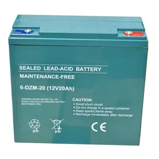 Akku 6-DZF-20 12V 20Ah - passend für Elektromobile