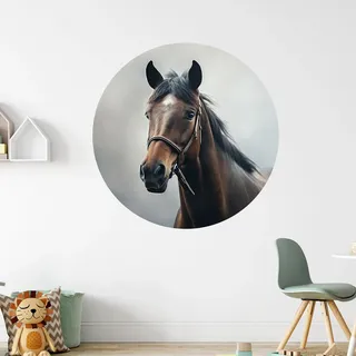 GRAZDesign Wandtattoo Pferd - Wandbild selbstklebend - runde Tapete für Kinderzimmer, Wohnzimmer, Schlafzimmer - 50x50cm / mehrfarbig