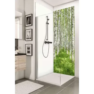 Schulte Decodesign Duschrückwand Foto Birkenwald - Duschkabine
