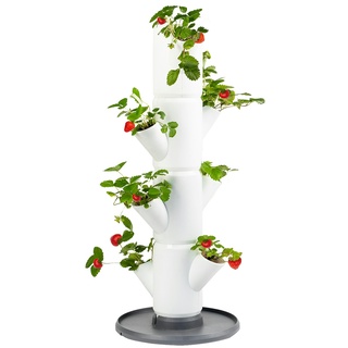 Gusta Garden Sissi Strawberry Starter Draußen Vertikale Pflanzmaschine Freistehend Polypropylen (PP) Weiß