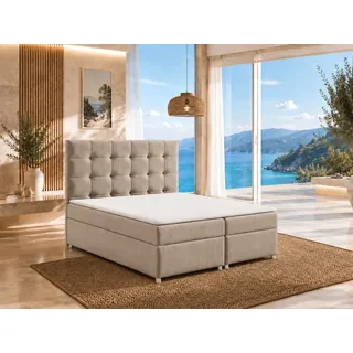 Best For Home Trinity K-12 200 x 200 cm H3 Beige