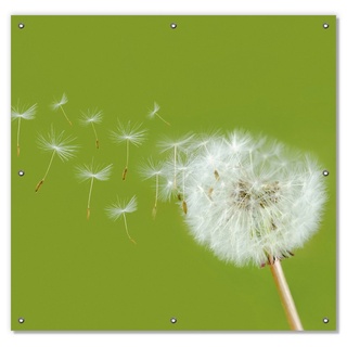 Sonnenschutz Pusteblume auf der Wiese mit fliegenden Samen, Wallario, blickdicht, mit Saugnäpfen, wiederablösbar und wiederverwendbar gelb 96 cm x 93 cm