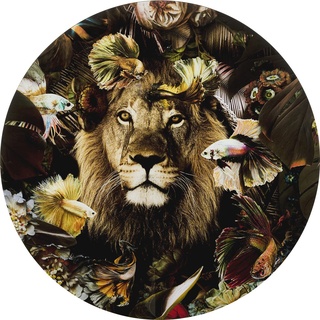 Kare Design Glasbild Curious Lion, Braun/Schwarz, rund, Glasgemälde, Wanddekoration, Kunstwerk, Glasbild, Ø100cm