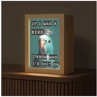 OnlyWow Tischleuchte Lightbox Sittich - Türkis - Zitate - Dekoration, Dimmbar, Farbwechsel, LED, Warmweiß, Kaltweiß, Neutralweiß Einstellbar, Tischlampe, Schreibtischlampe, Desk, Dimmbar, mit Kabel, LED grün 15 cm x 8 cm x 20 cm
