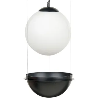 Runde Pendelleuchte Glaskugel mit schwarzem Schirm Tobins