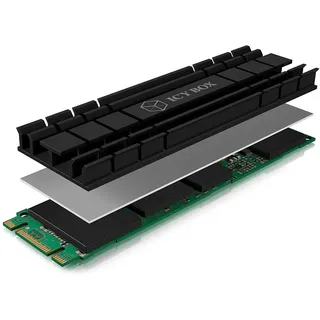 Icy Box IB-M2HS-701 M.2 SSD