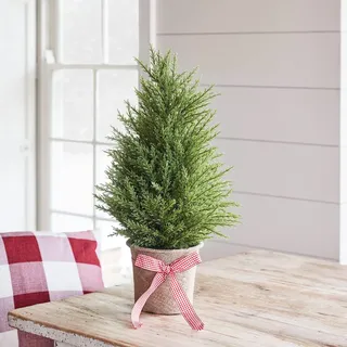 Lights4fun 55cm Mini Tannenbaum im Topf Weihnachtsbaum Tischbaum Weihnachtsdeko