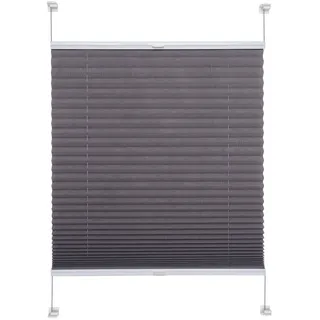 Liedeco® Plissee verspannt mit Klemmträger / 75 x 150 cm (Breite x Höhe) grau/lichtdurchlässig Blickdicht stufenlos verstellbar/leichte Innen-Montage ohne Bohren / 123 montiert/Plissee farbig