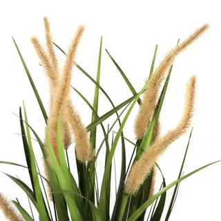 HJH Office Kunstpflanze CORTADERIA I Pampasgras im goldenen Kunststoff-Topf, Künstliche Deko Pflanze