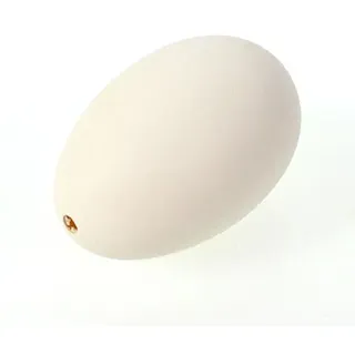 6 echte Gänseeier Eier groß ca. 9cm Dekoeier Ostereier Natureier