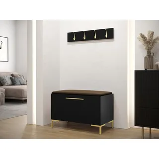 MIRJAN24 Garderoben-Set Zilion VIII, (Komplett-Set, Schuhschrank, Gepolstertes Paneel 84x42), Auswahl aus Fronten und Polsterplatten braun
