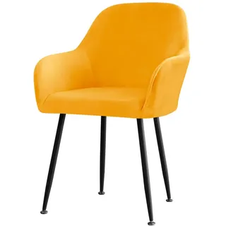 Highdi Samt Stretch Stuhlbezug mit Armlehne, Elastischer Abnehmbarer Schonbezug für Esszimmerstühle, Universal Stuhlhusse 1/2/4/6er Set für Wohnzimmer, Hochzeit Deko