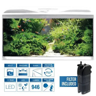 Amtra Acquario System Tank V2 – Komplettes Glasaquarium 85 Liter, 11 Watt LED-Licht und Filterpumpe inklusive, Süß- oder Salzwasser, Weiß, 80 x 32 x 48 cm