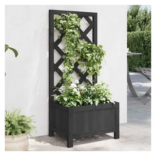 vidaXL Pflanzkübel mit Spalier 194 x 30 x 30 cm Schwarz
