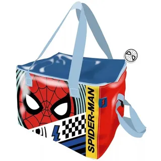 PAW PATROL Picknickkorb 5 Liter Thermo Kühltasche Kindergarten Tagesmutter Tasche 22,5cm