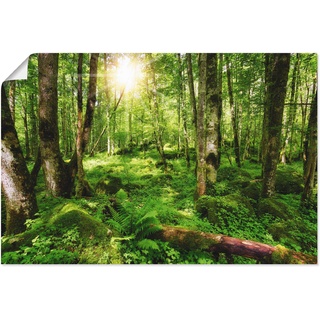 Wandbild ARTLAND "Wald" Bilder Gr. B/H: 30 cm x 20 cm, Poster, grün Bild Kunstdruck Bilder als Alubild, Leinwandbild, Wandaufkleber oder Poster in versch. Größen