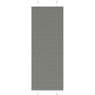 vidaXL Plissee 80 x 200 cm Anthrazit