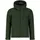 Superior Kale Green S