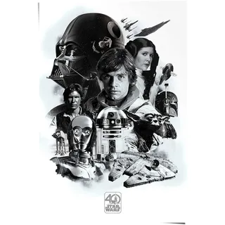 Poster REINDERS "Poster Star Wars 40 Jahre", schwarz (farbe bild(er): schwarz), B:61cm H:91,5cm, Papier, Bilder, Poster