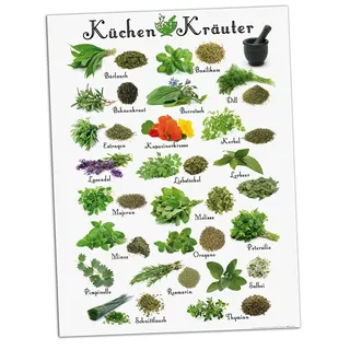 1art1 Kochkunst Poster Küchen-Kräuter Kunstdruck Bild 80x60 cm