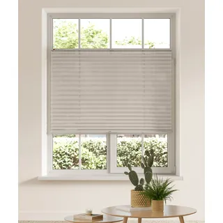 Plissee OTTO HOME "LAHOLM" Gr. 5, beige (sand), B:80cm H:130cm, Obermaterial: 100% Polyester, Plissees, Fixmaß, Bestseller mit über 3500 4,5-Sterne-Bewertungen, Klemmträger, Topseller