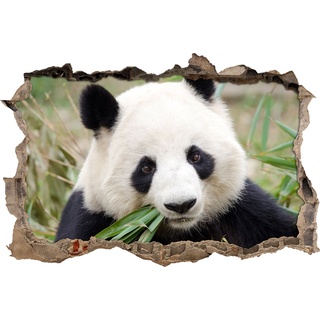 Pixxprint 3D_WD_S2654_62x42 Pandabär lässt sich Bambus schmecken Wanddurchbruch 3D Wandtattoo, Vinyl, bunt, 62 x 42 x 0,02 cm