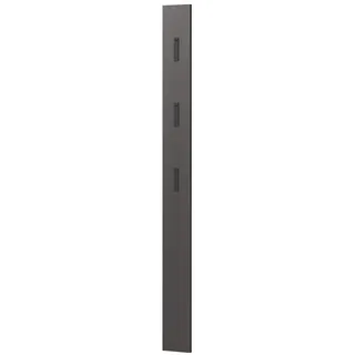 Lomadox Garderobenpaneel Wandgarderobe in grau mit ausklappbaren Metallhaken, B/H/T ca. 15/170/3 cm