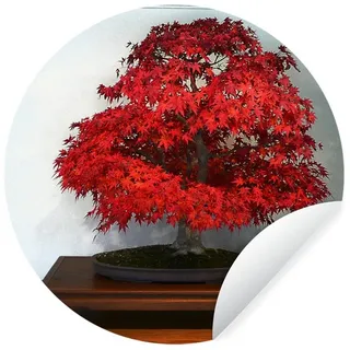 MuchoWow Wandsticker Herbst-Bonsai (1 St), Runde Aufkleber für Kinderzimmer, Babyzimmer, Einteilig, Selbstklebend bunt 100 cm x 100 cm x 0.1 cm